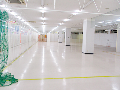 �t���A�摜